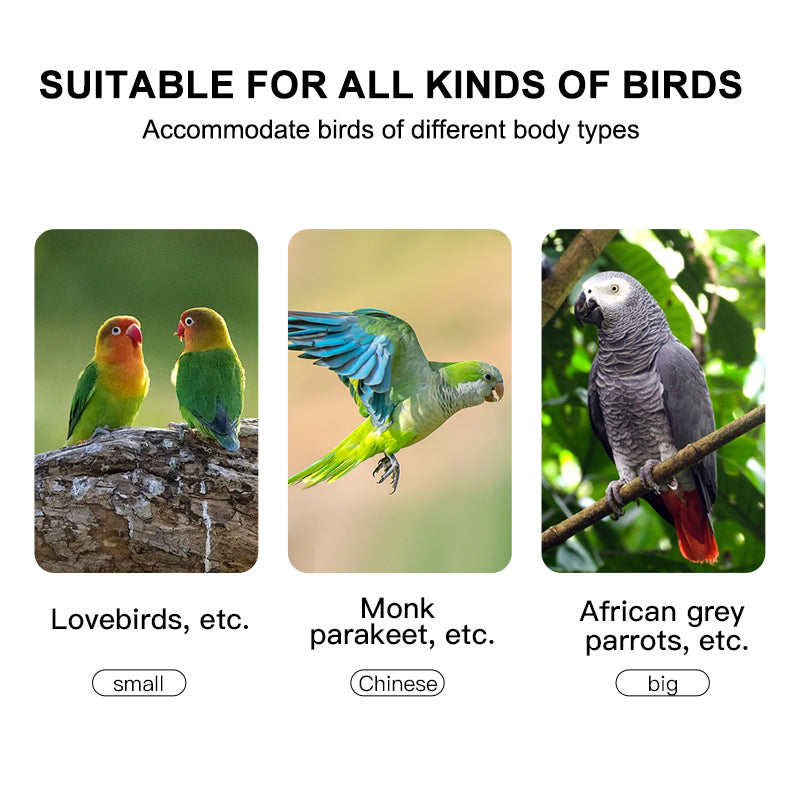Free shipping | Luxury Parrot Cage Villa, Stainless Steel & Solid Wood Time Capsule House for Cockatiel-Free Shipping