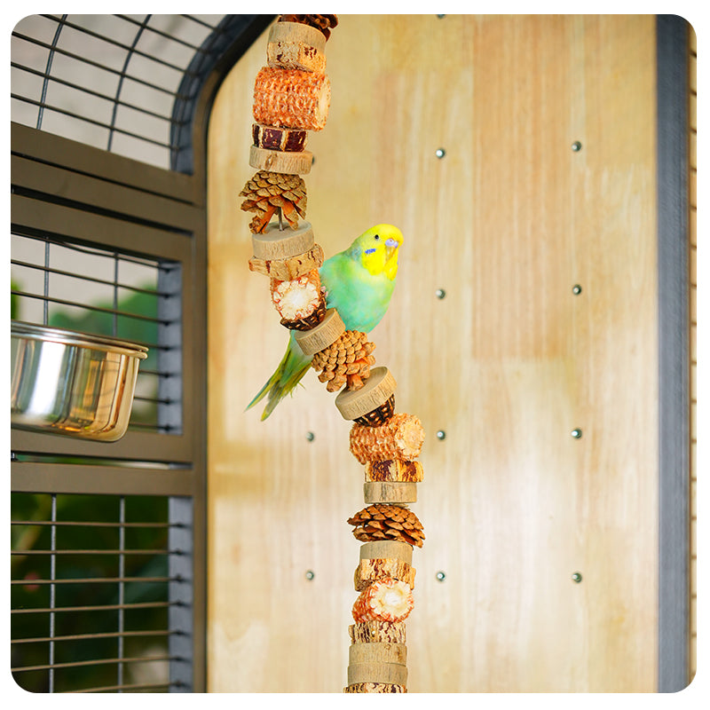 Free shipping | Large Panoramic Bird Cage Wrought Iron | Luxury Parrot Aviary Villa for African Grey, Cockatiel, Monk Parakeet