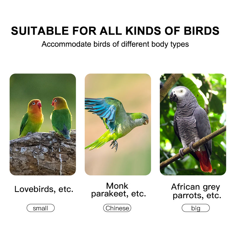 Free shipping | Large Panoramic Bird Cage Wrought Iron | Luxury Parrot Aviary Villa for African Grey, Cockatiel, Monk Parakeet