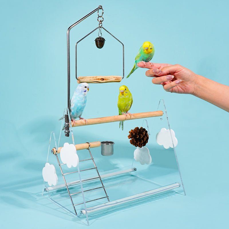 MiaoZan Dopamine Bird Standing Platform-Desktop Potty Training Perch with Acrylic Base for Small Birds