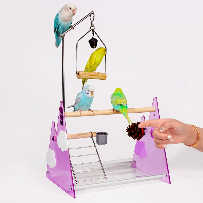 【Hot】MiaoZan Desktop Bird Potty Training Perch with Removable Tray, Easy Clean for Small Birds