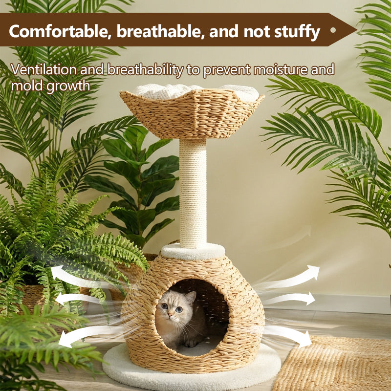 MiaoZan Wicker Cat Climbing Frame Multifunctional Cat Bed Scratching Post Toy Space-Saving