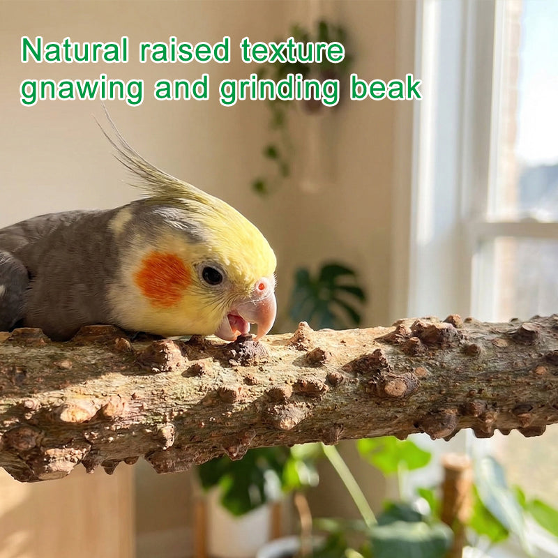 Natural Pepper Wood Bird Perch, Natural Wooden Parrot Perch with Double-Sided Locking Bolts, Bird Cage Stand for Budgies, Cockatiels, Conures & Parrots