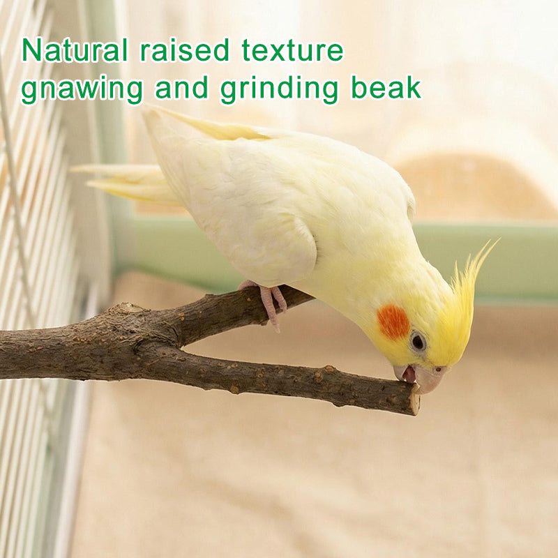 Natural Apple Wood Bird Perch for Parrots, Budgies & Cockatiels – Wooden Bird Cage Stand with Secure Double-Sided Mounting
