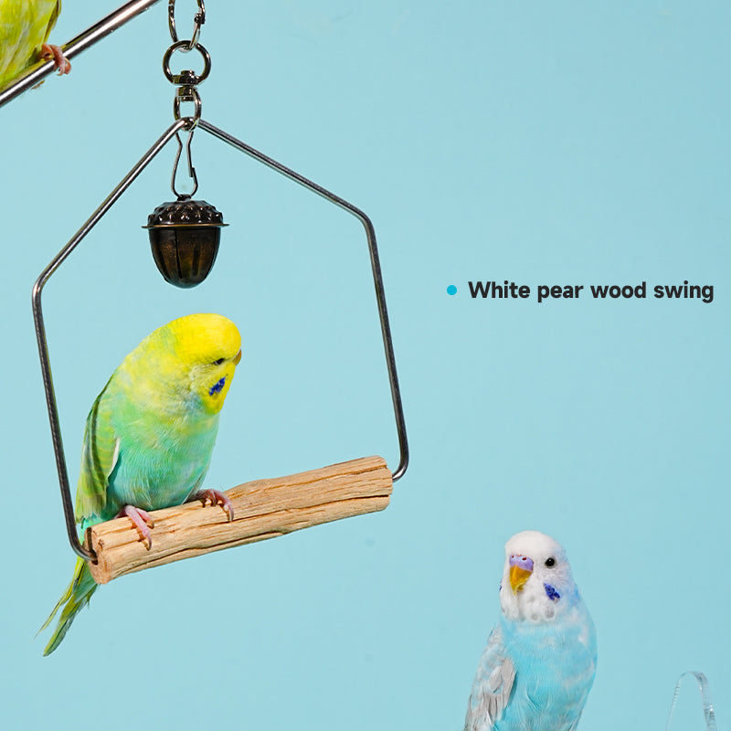 MiaoZan Dopamine Bird Standing Platform-Desktop Potty Training Perch with Acrylic Base for Small Birds