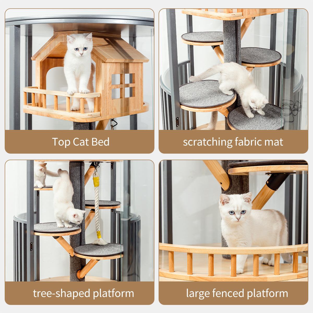 Premium 360° Transparent Glass Cat Condo – Multi-Level Luxury Cat Tower with Double-Door Design