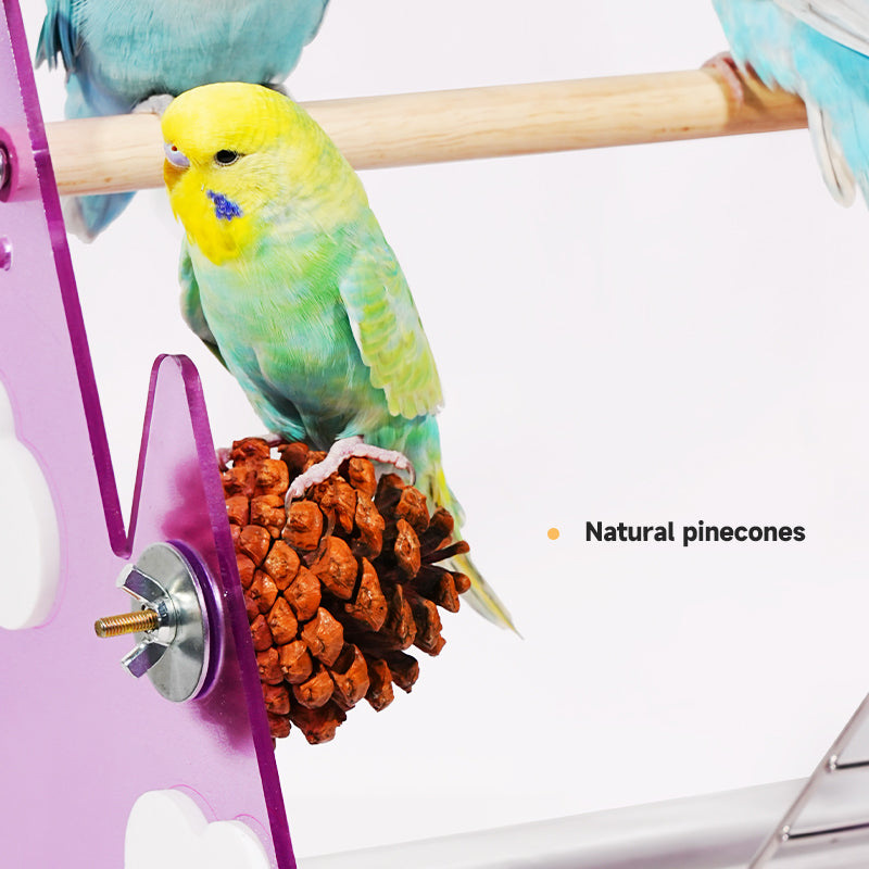 【Hot】MiaoZan Desktop Bird Potty Training Perch with Removable Tray, Easy Clean for Small Birds