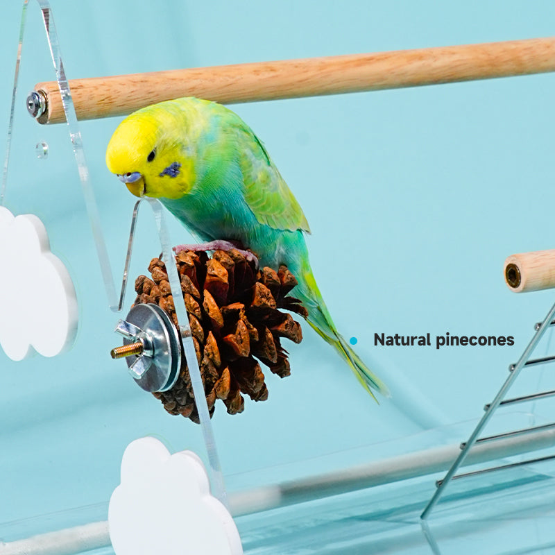 MiaoZan Dopamine Bird Standing Platform-Desktop Potty Training Perch with Acrylic Base for Small Birds