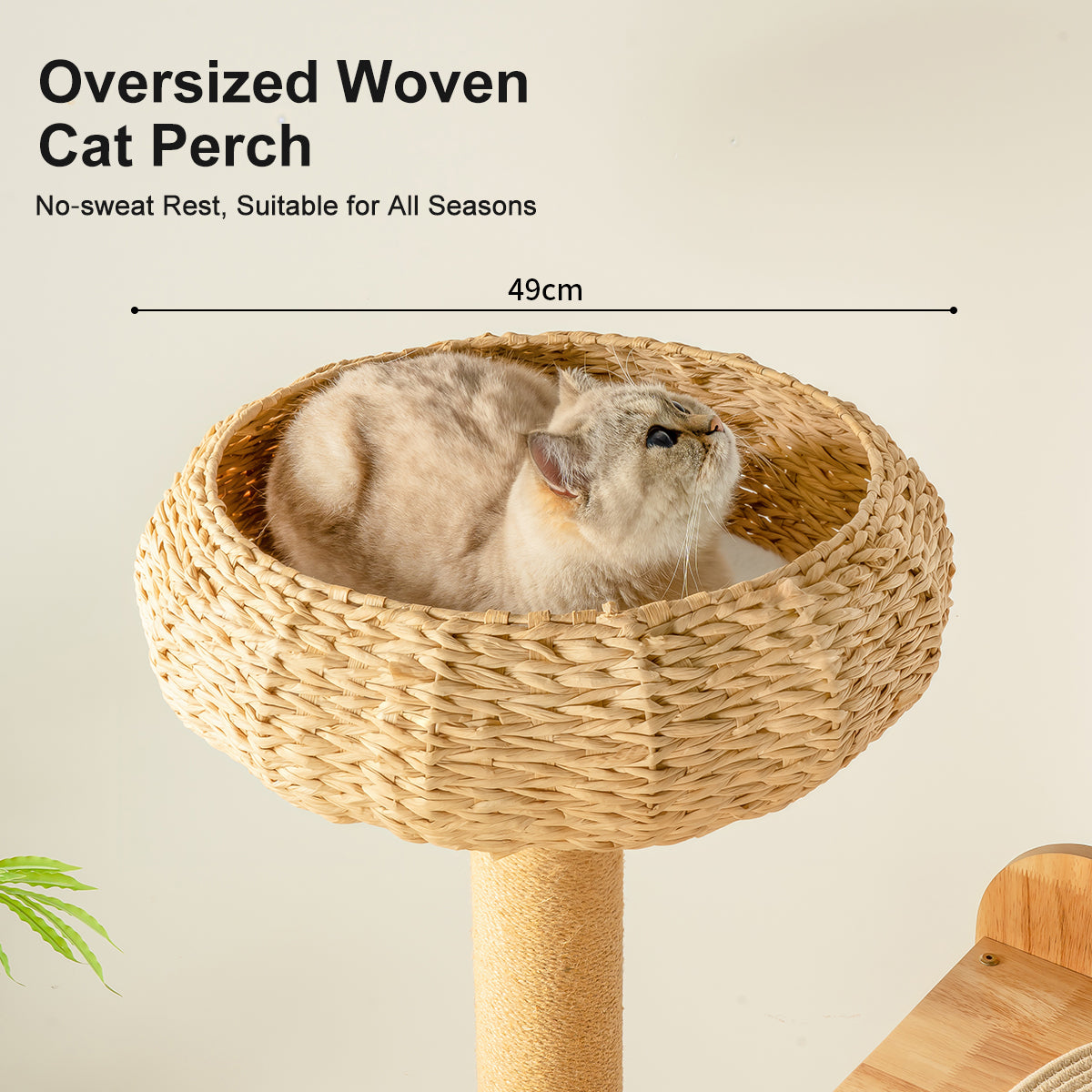 Large Solid Wood Cat Tree for Multiple Cats – Space-Saving Vertical Cat Tower with Scratching Posts & Hammock