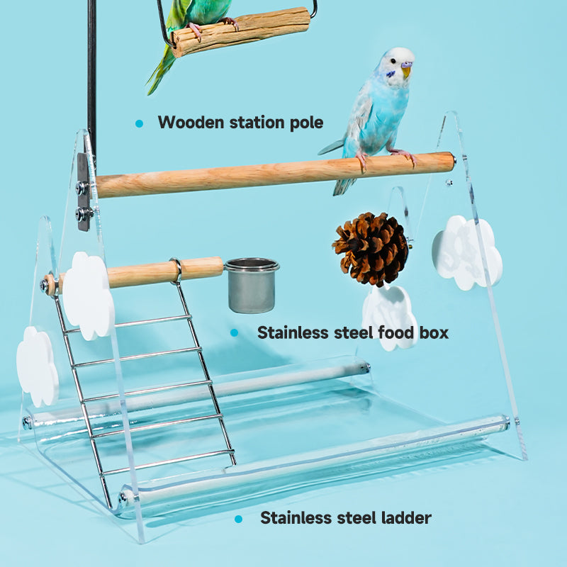 MiaoZan Dopamine Bird Standing Platform-Desktop Potty Training Perch with Acrylic Base for Small Birds