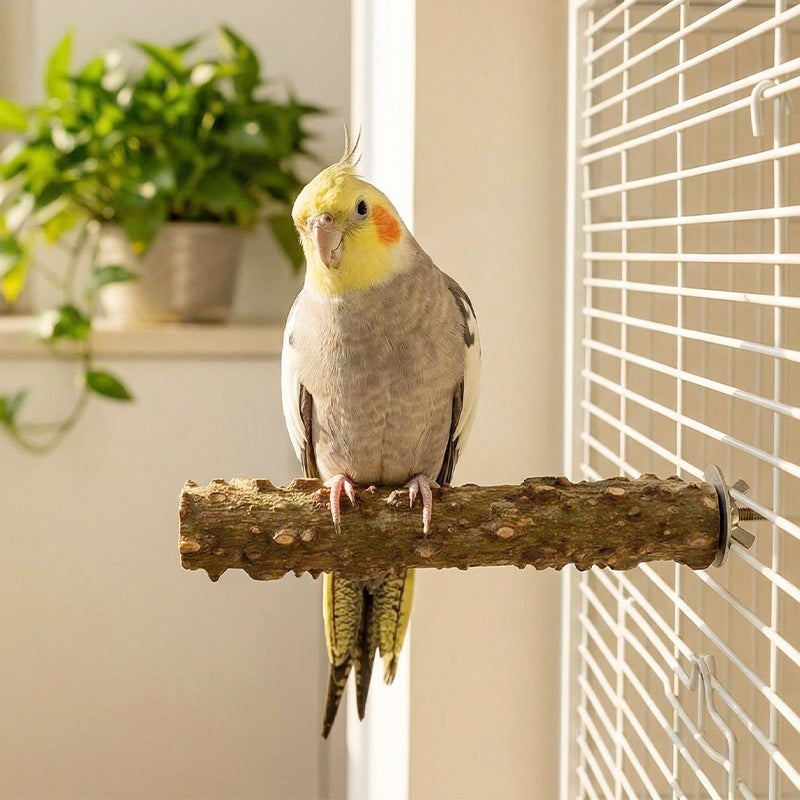 Natural Pepper Wood Bird Perch, Natural Wooden Parrot Perch with Double-Sided Locking Bolts, Bird Cage Stand for Budgies, Cockatiels, Conures & Parrots