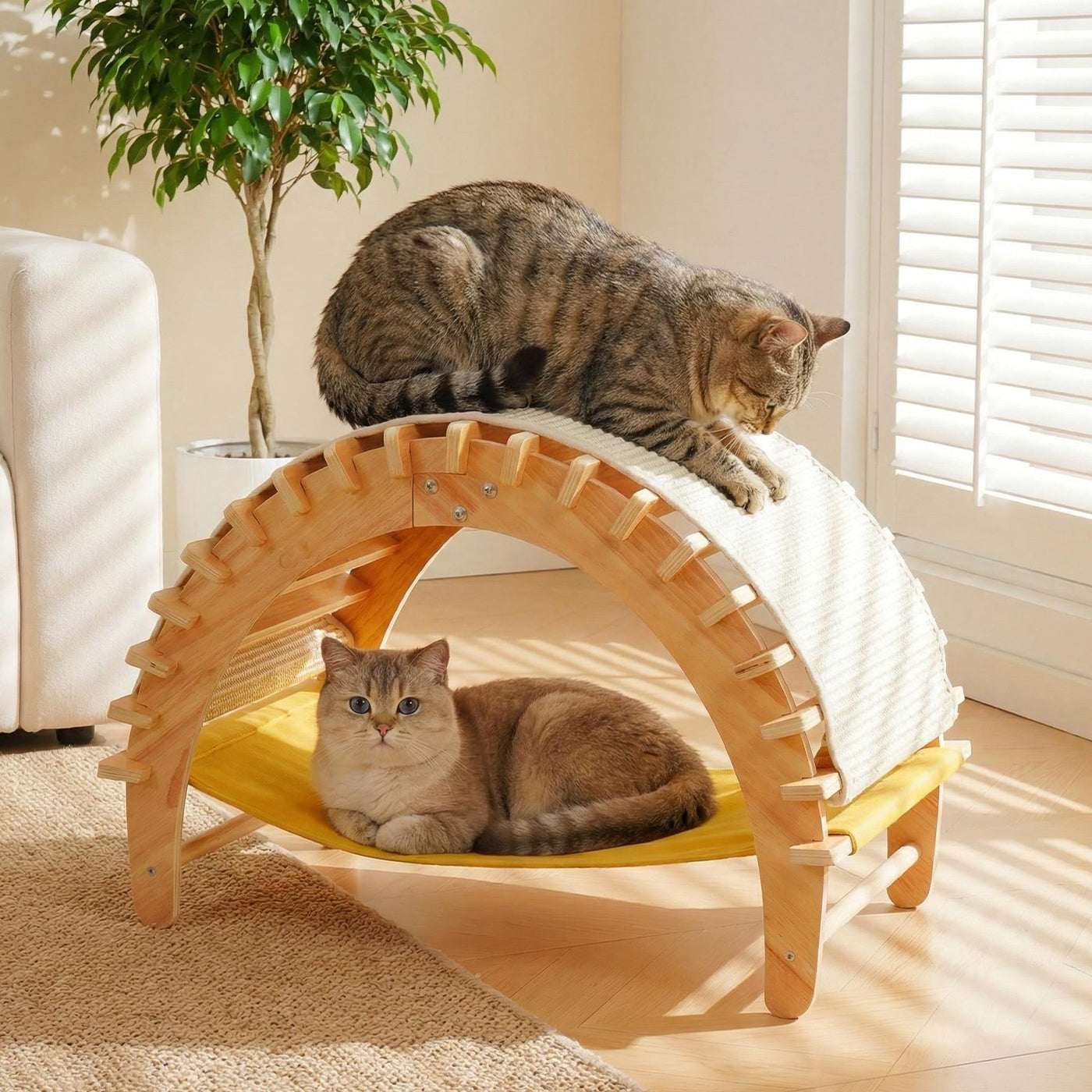 3-in-1 Sisal Cat Scratcher Bed, Cat Hammock Lounge with Solid Wood Frame, Durable Pad & Perch for Large Indoor Cats, Easy Assembly Cat Furniture