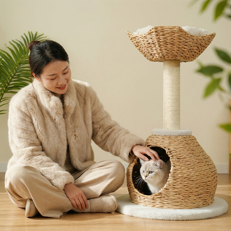 MiaoZan Wicker Cat Climbing Frame Multifunctional Cat Bed Scratching Post Toy Space-Saving