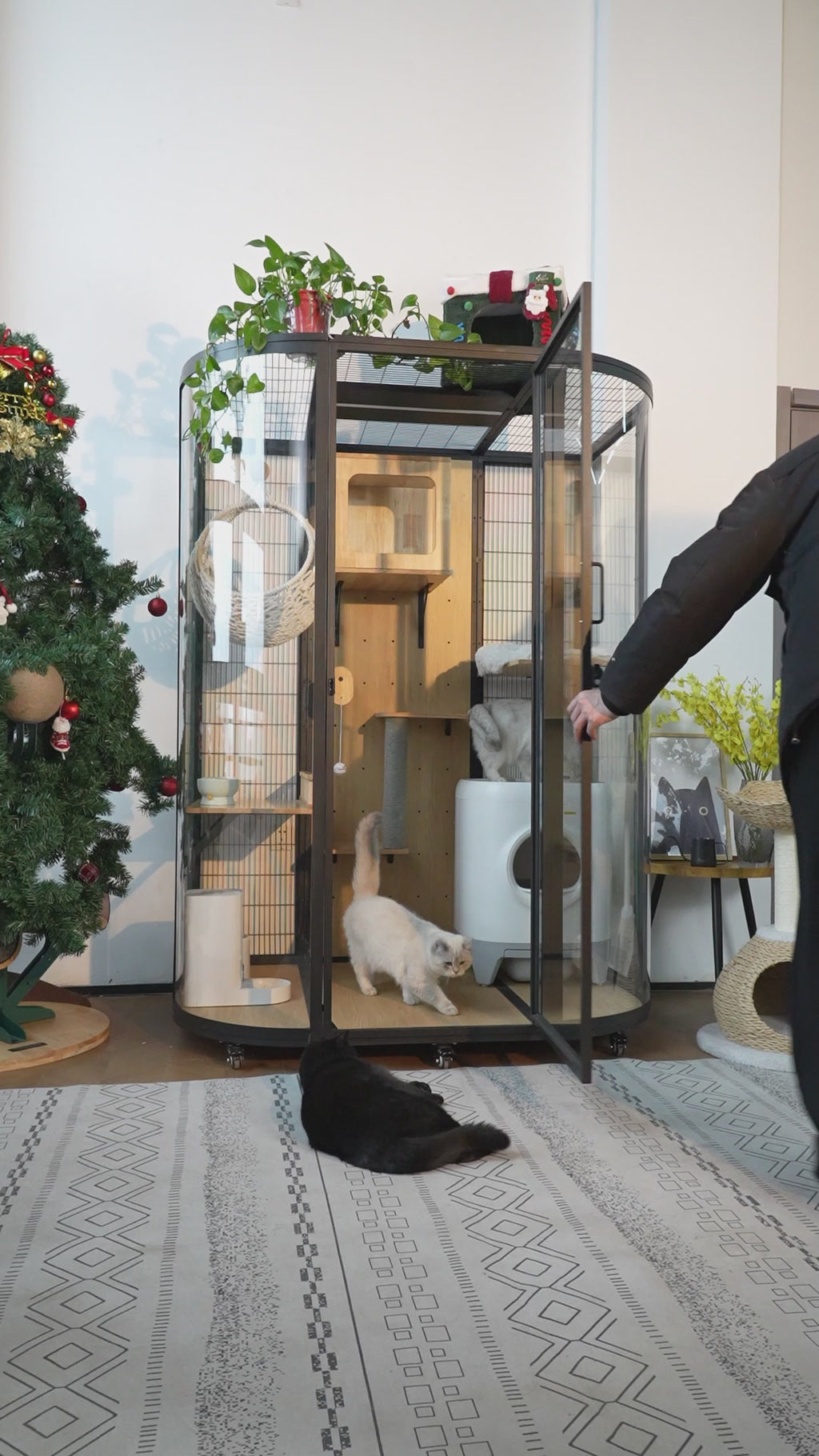 Large Cat Enclosure Indoor with LED Light | 74.8" Tall Glass Cat Condo | 360° Rotatable Cat Villa with Multi-Level Platforms for Multiple Cats